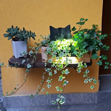 Ermele's House בורגוסזיה